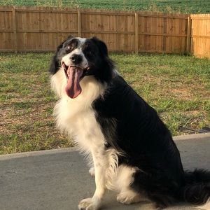 Meet your Posher, Adam